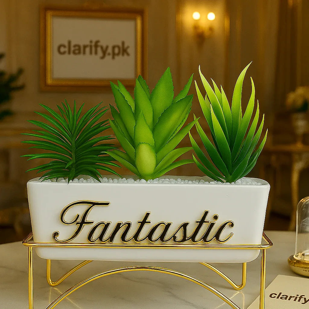 Fancy Flower Pot Decoration – Decorative Indoor Tabletop Planter - Clarify.pk