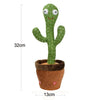 Dancing Cactus Toy - Interactive Talking Cactus for Kids - Clarify.pk