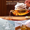 Glass Teapot with Infuser - Stovetop Safe Tea Kettle