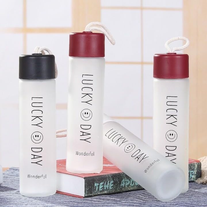 380ml Glass Water Bottle - BPA-Free Leakproof Flask