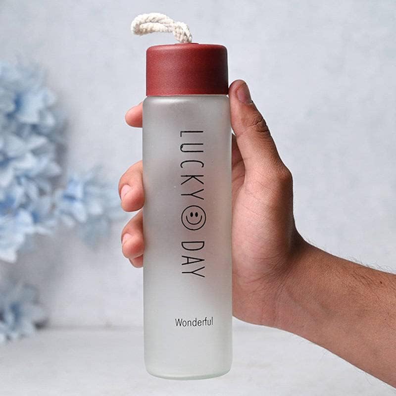380ml Glass Water Bottle - BPA-Free Leakproof Flask