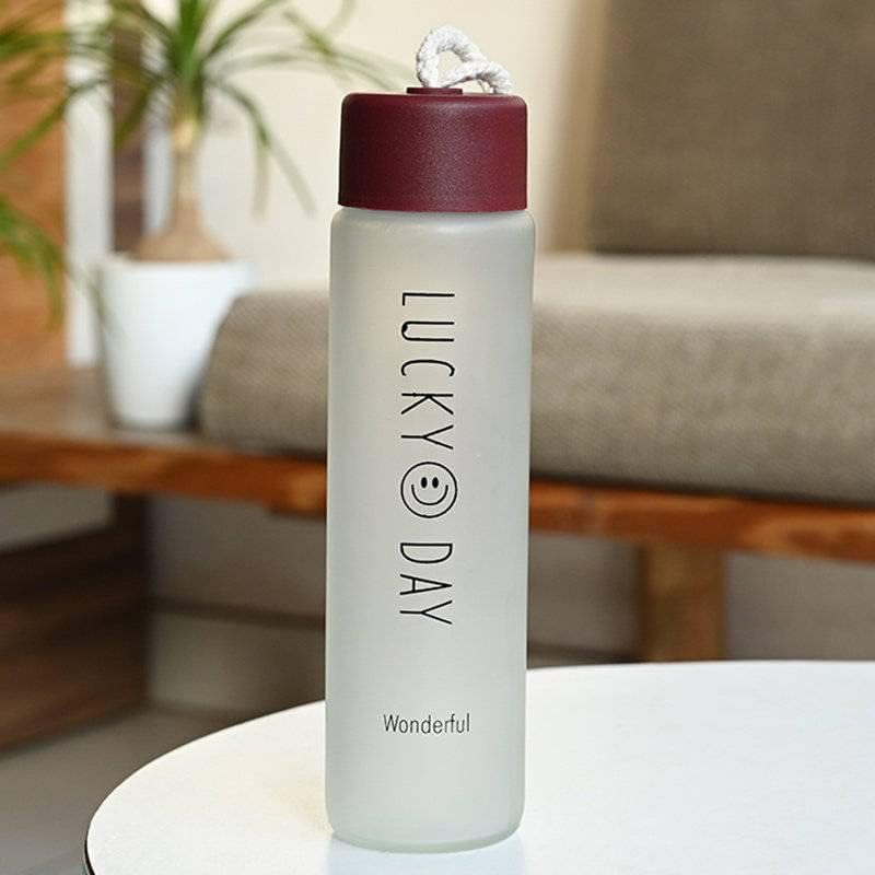 380ml Glass Water Bottle - BPA-Free Leakproof Flask