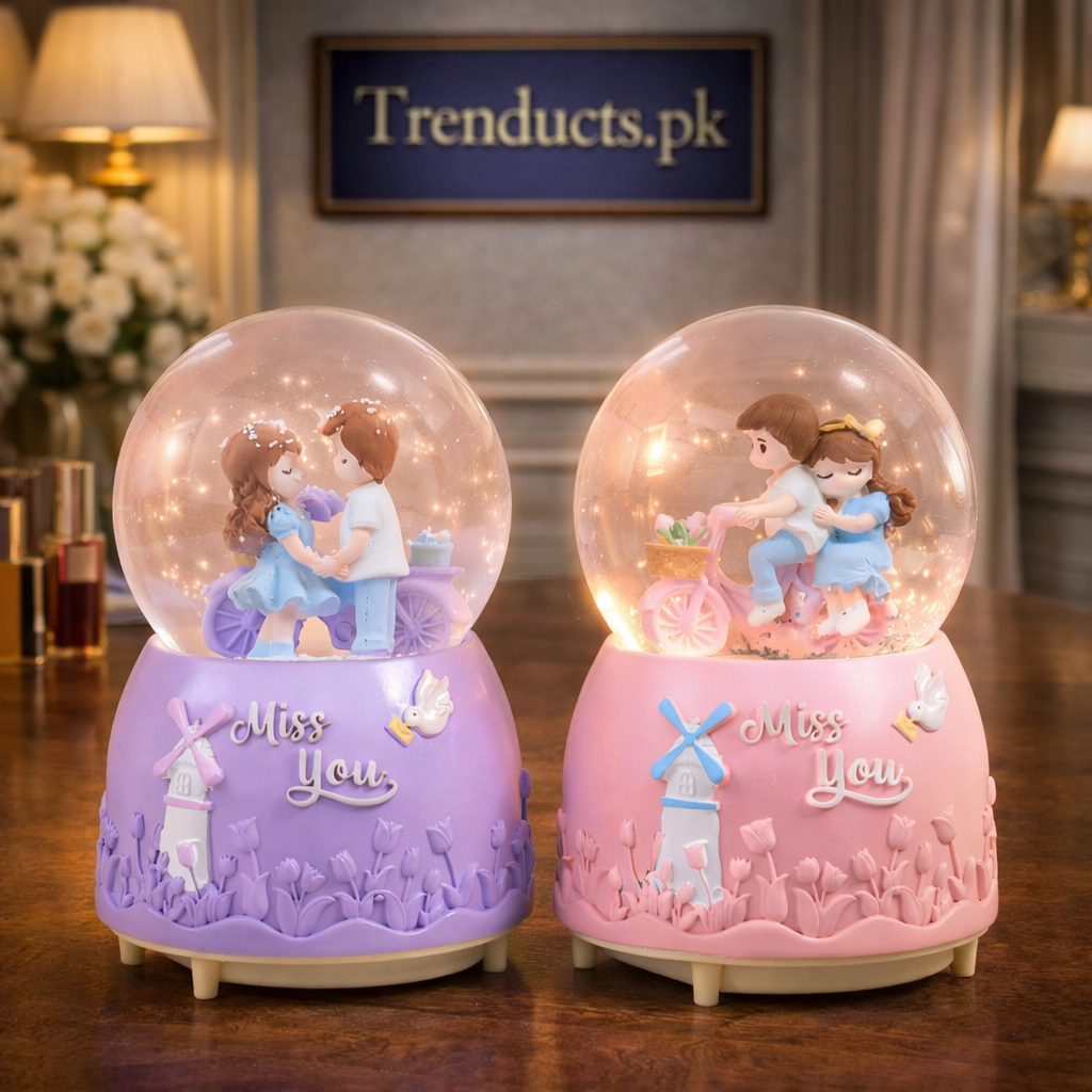 Premium Romantic LED Couple Snow Globe Collection (Random Designs)