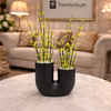 Modern U-Shaped Ribbed Vase & Floral Arrangement (13" x 8")