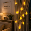 Chick LED Fairy Lights - Cute String Lights Decor