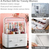 Cosmetic Organizer with Drawers: 3-Drawer Makeup Storage Solution - Clarify.pk