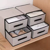 1pc Bra & Panty Organizer, Underwear Drawer Box With 2-layer, Closet Basket For Tie, Socks, Household Space Saving Organizer - Clarify.pk