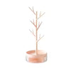 360° Rotating "Antler" Jewelry Tree & Acrylic Storage Base