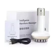 Electric Meridian Brush Massager – Gua Sha, Hot Compress & Fat Burner - Clarify.pk