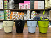 Sleek Korean Style Insulated Mug (Random Color)
