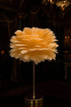 Elegant 18" Feather Table Lamp with Golden Metal Base