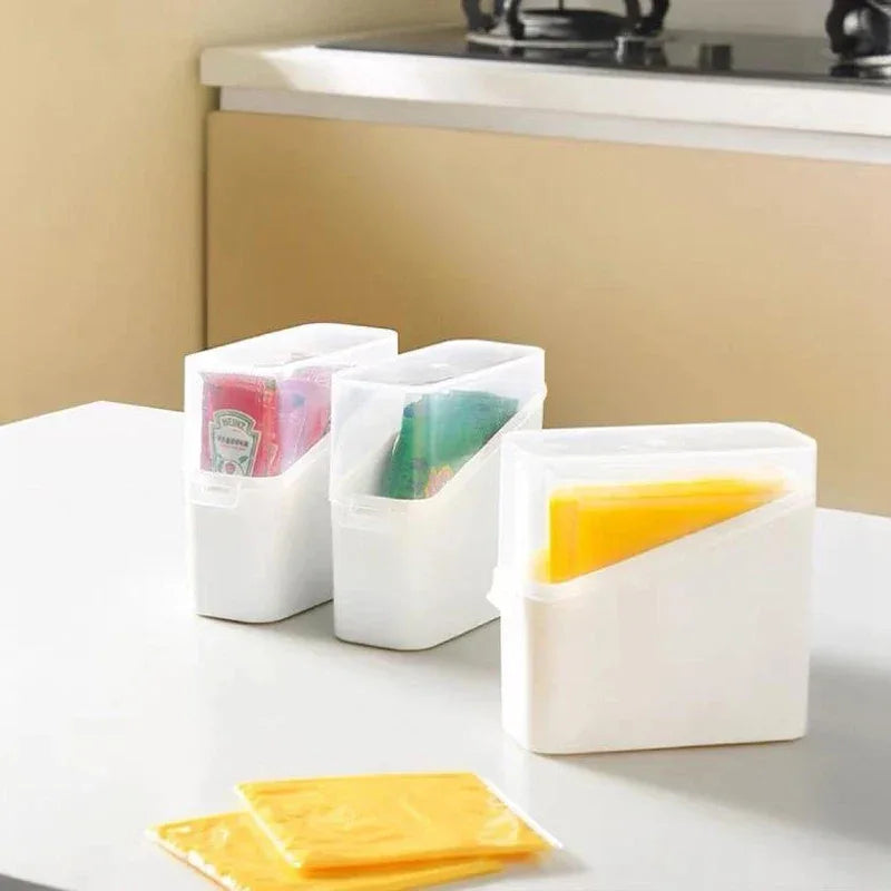 Airtight Cheese Storage Container for Kitchen