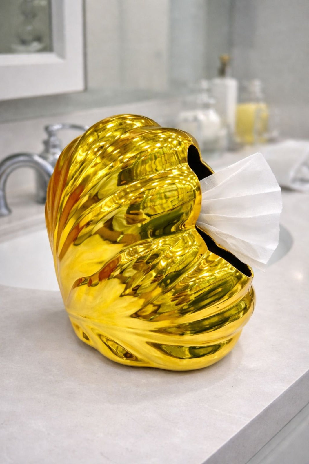 Luxury Plastic Shell Tissue Box (Random Color)