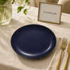 Danny Home Navy Speckled Dinner Plate - 10.5 Inch