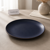 Danny Home Navy Speckled Dinner Plate - 10.5 Inch