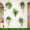 Green Plant Wall Stickers for Home Decor - Clarify.pk