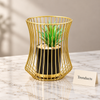 Gold Wire Planter - Cylindrical Cage with Black Pot