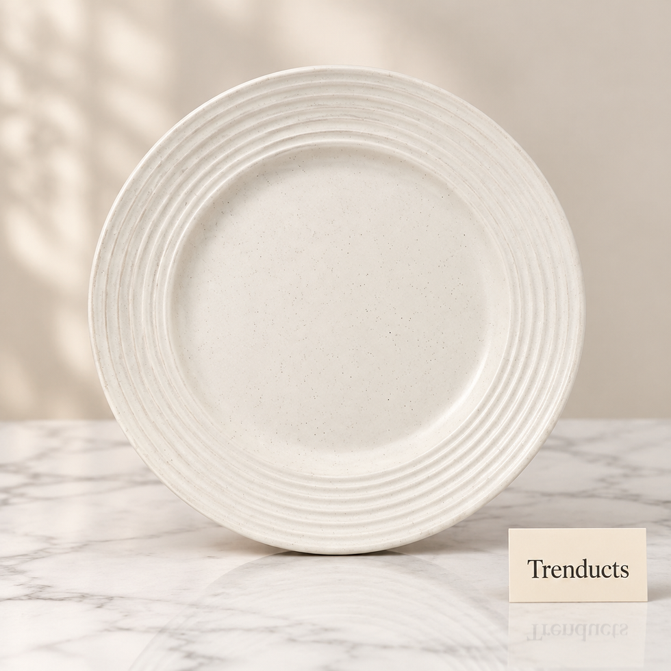 Danny Home Dinner Plate - 10.5 Inch Speckled Ribbed Rim