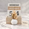 Wooden Desk Calendar - White Blocks with Pampas Vase