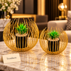 Gold Wire Cage Metal Flower Pot Set – 2 Pcs Set