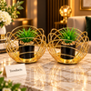 Gold Orbital Cage Metal Plant Pot Set – 2 Pcs Set