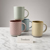 Danny Home Ceramic Mug 450ml - Embossed Pastel (each)