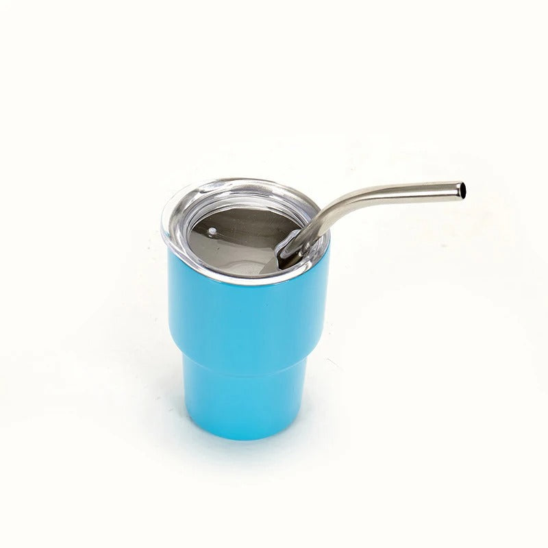 Premium Mini Stainless Steel Insulated Tumbler with Metal Straw (Random Color)