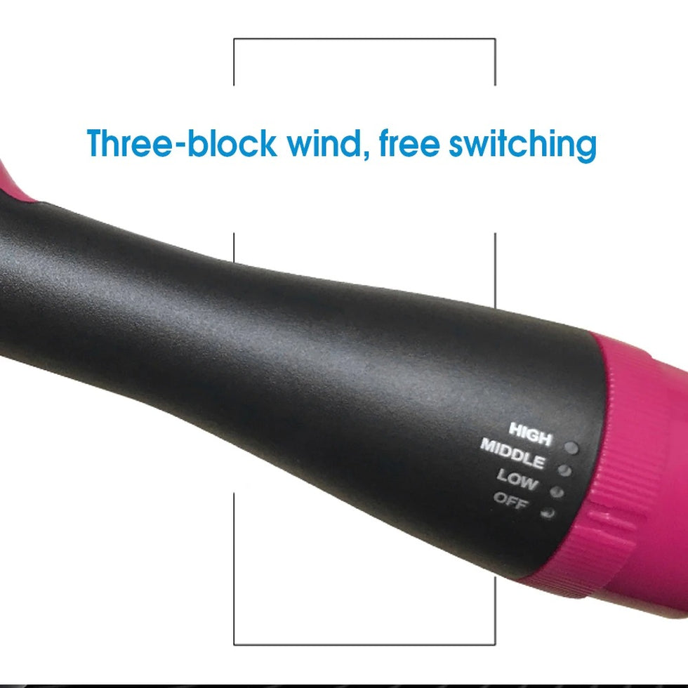 Professional 4-in-1 One-Step Hair Dryer & Volumizer