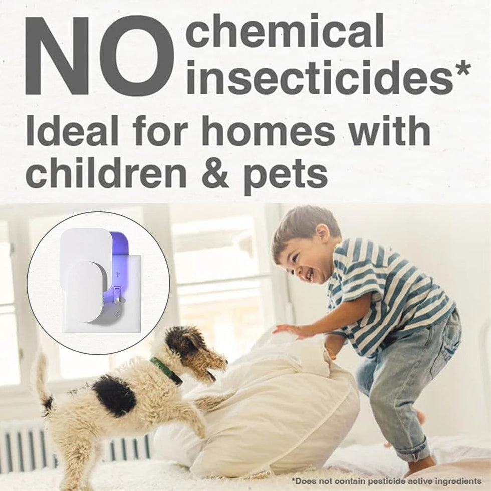 Non-Toxic Adhesive Board Flying Insect & Mosquito Killer Lamp