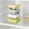 Mini Ice Cube Tray Mold with Removable Storage Bin