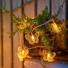LED Butterfly String Fairy Lights