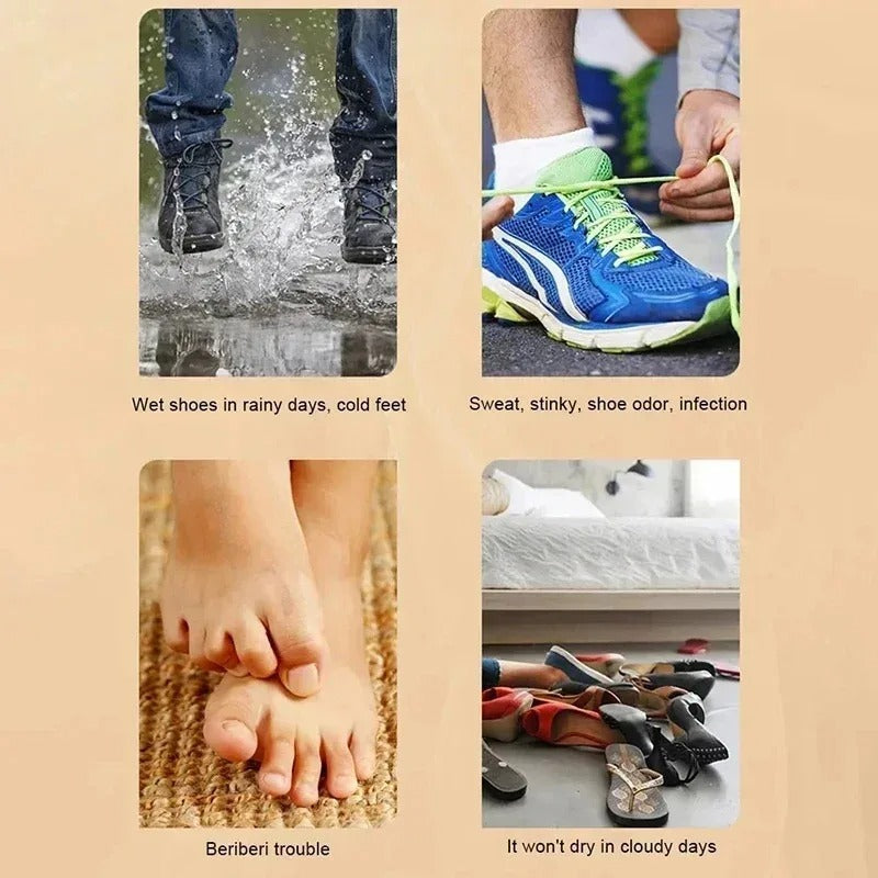 Electric Intelligent Timer Shoe Dryer & Warmer