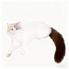 Super Realistic Plush Cat Backpack – Lifelike Stuffed Animal Travel Bag & Shoulder Caddy