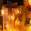 LED Butterfly String Fairy Lights