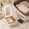 Mini LED Makeup Bag with Mirror & Organizer