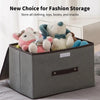 Non Woven Storage Box for Clothes & Toys - Clarify.pk