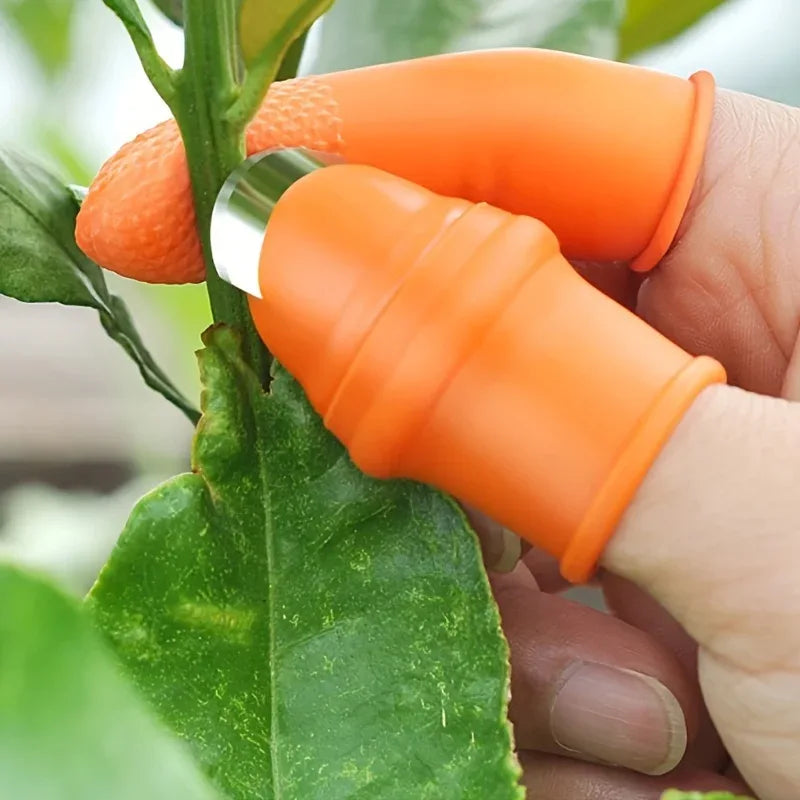 Silicone Finger Protector Kitchen Tool Set