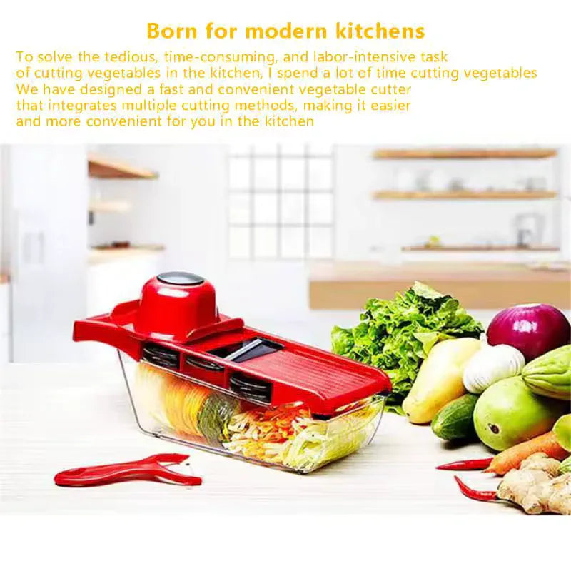 6 in 1 Stainless Steel Vegetable Slicer with Container
