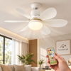 2-in-1 LED Ceiling Fan Light with Remote