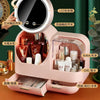 Vanity Storage Box with Mirror & LED Light - Clarify.pk